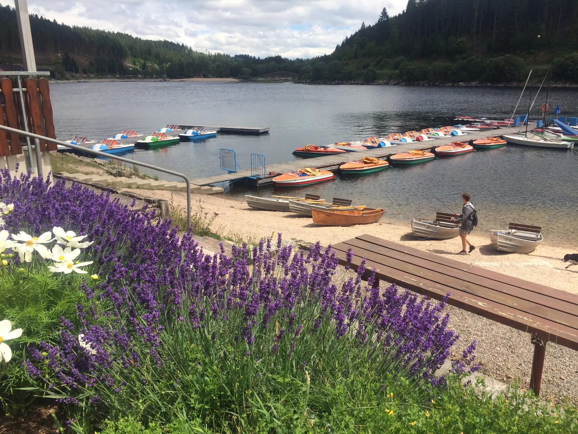 Elektroboot auf dem Schluchsee mit Blick über das weite Wasser zum Schwarzwald